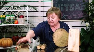 ДОМИК ДЛЯ НАСЕКОМЫХ?ПОМОЩНИКИ В САДУ?