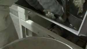 Видео  Изготовление просфор в Оптиной Пустыни