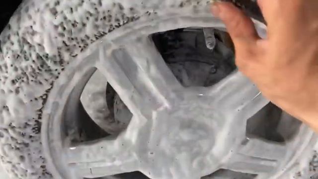 ЗАНИЖЕНИЕ. Поставил Торусы Как перезимовала Калина? смотреть онлайн