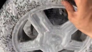 ЗАНИЖЕНИЕ. Поставил Торусы          Как перезимовала Калина?