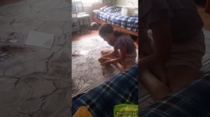 похолодало ночами//что готовили//котики,свинки,черепаха//ночь кино//(11 месяцев назад)