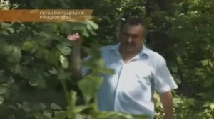 Разоблачение! Раскрытие! Маг Радомир пробуждается. Кто были наши предки.