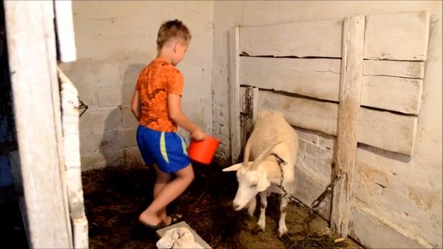 Большой мир маленького мальчика смотреть онлайн