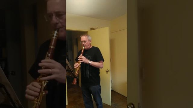 Mopane Clarinet vs Grenadilla - same clarinet bore and pads смотреть онлайн