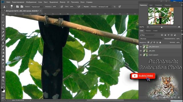 Как удалить лишний элемент на фото /How to delete an object (branch) on photo in Photoshopм/tutoria смотреть онлайн