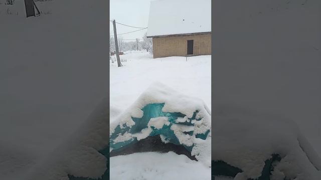 Утренние приветствие)