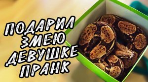 ПОДАРИЛ ЗМЕЮ ДЕВУШКЕ | ПРАНК | ОНА В ШОКЕ