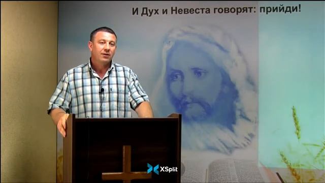 Клеймо зверя и печать Божья. Тарасенко В. смотреть онлайн