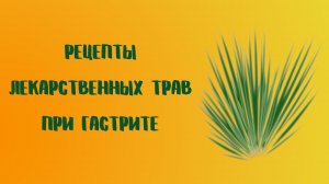 Рецепты лекарственных трав при гастрите.mp4