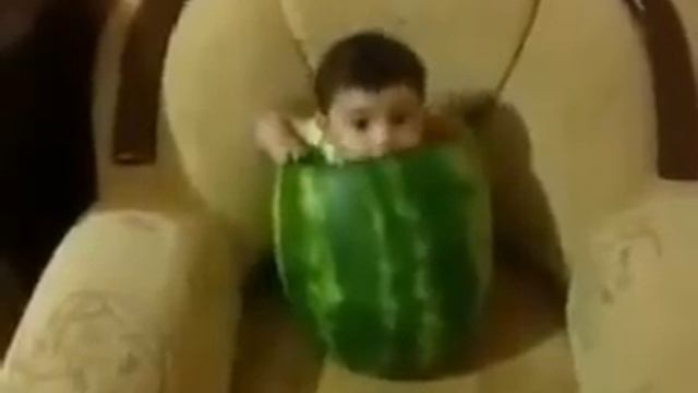 мальчик ест арбуз смотреть онлайн