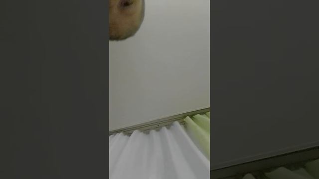 продолжение обзора на мою колонку Defender Enjoy S500 смотреть онлайн