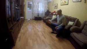 Джек Рассел терьер 4 месяца