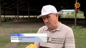 В Батыревском районе началась уборка лука севка