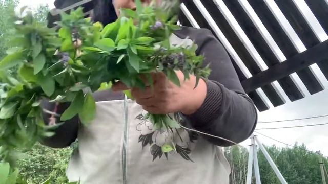 Мастер класс по плетению ароматного венка из мяты????? #плетувенок #мята #мастеркласс смотреть онлайн