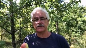 Бывший производитель органической продукции высказывается