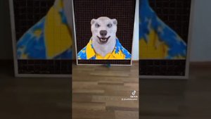 все мои видео про ходилки бродилки. (сборник моих видео ходилки бродилки) ХОДИЛКИ БРОДИЛКИ