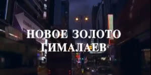 Новейшее золото Гималаев - Китайский гриб Кордицепс (документальный)