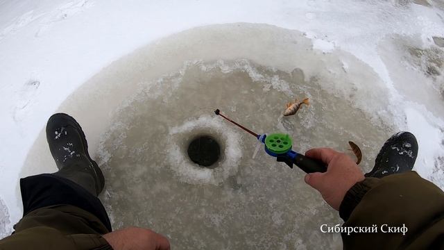 РЫБАЛКА. Ловим ОКУНЯ на мормышку и опарика. Зимняя рыбалка смотреть онлайн