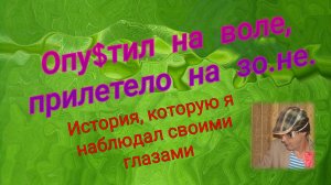 Опу$тил на воле, прилетело на з.оне. Как сидели ущербные на зоне в СССР.