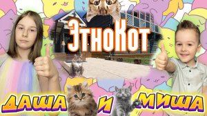Даша и Миша в ЭтноКот | Видео с котиками | Коты в Этномире