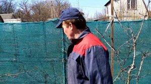 Затеняющая сетка 2 года спустя.