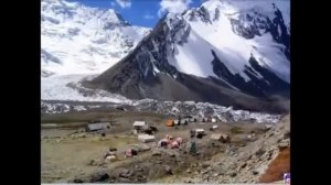 Памир-Высота над уровнем моря7 719 м.