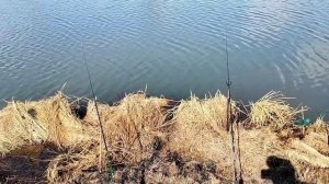 Съездил проверил карася, на Костромских озерах,???