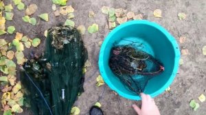 Китайские раколовки! Самая простая и дешёвая снасть для ловли раков!