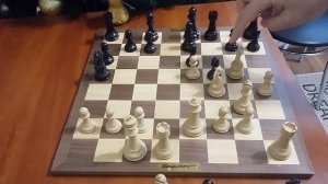 Шахматы. Дебют слона за белых.