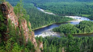 Как выжить в зомби апокалипсис. Какие зомби будут. Как бороться. Что предпринять. Они уже здесь.