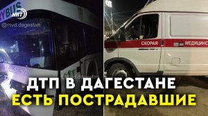 Автобус Махачкала – Москва врезался в корову в Дагестане | ДТП с каретой скорой
