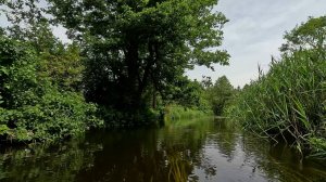 Сплав по реке Еменка от моста деревни Обухово до моста на повороте на Опухлики трасса Невель А-122