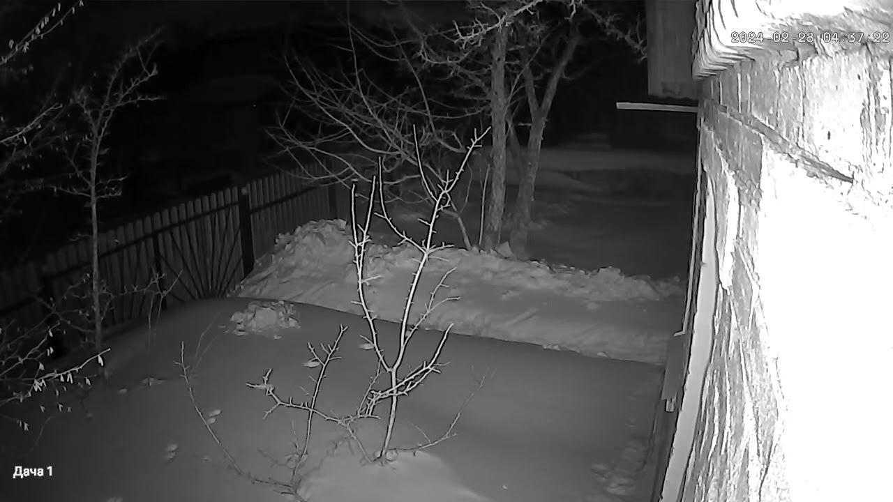 Куница 4 смотреть онлайн