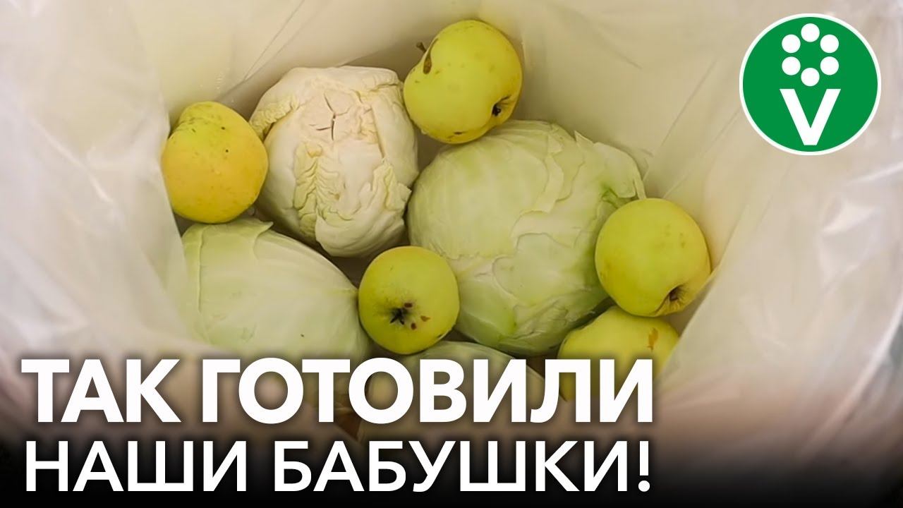 САМАЯ ПОЛЕЗНАЯ КВАШЕНАЯ КАПУСТА - БЕЗ СОЛИ, САХАРА И УКСУСА! Квашеная капуста по старинным рецептам