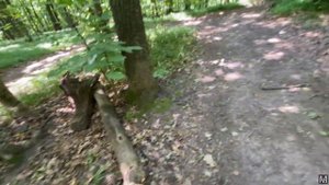 Грибы. Белые.28.06.2024 Воронеж