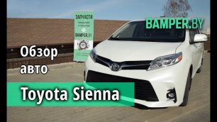 Toyota Sienna - минивэнистый заокеанский Боинг