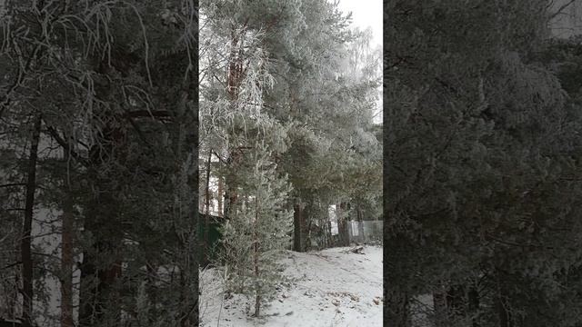 Зима на Карельском перешейке