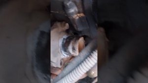 крышка термостата змз 409 сумрачный гений заволжского инженера