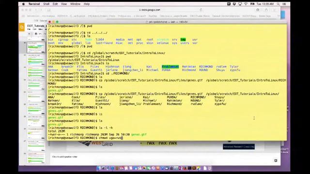 Intro to Using Linux: Command Line Basics смотреть онлайн