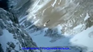 ПОЗДРАВЛЯЮ С РОЖДЕНИЕМ РЕБЁНКА