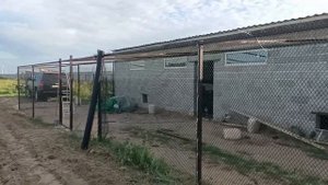 Ограждение курятника сеткой