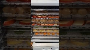 Сушилка для овощей и фруктов КТ-1909