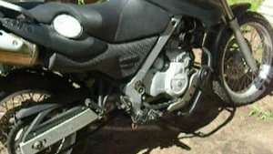 БМВ Гусь 650