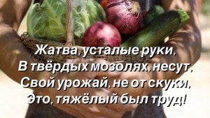 Бог видит все плоды наши… #христианский #стих#к Жатве (читает автор Анна Юркин)