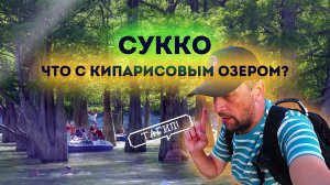 Влог #114: Во что превратили кипарисовое озеро в СУККО | АНАПА