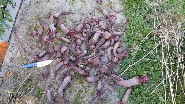 ВЛОГ Покупки Картина по номерам смотреть онлайн