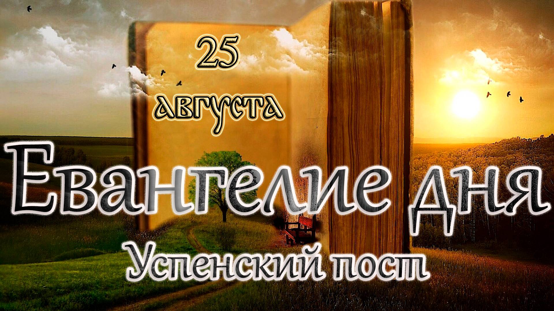 Апостол, Евангелие и Святые дня. Седмица 9-я по Пятидесятнице. (25.08.24)