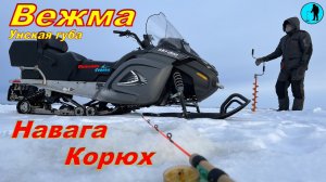 BRP SKI-DOO EXPEDITION SPORT,  РЫБАЛКА НА БЕЛОМ МОРЕ. #навага #корюшка #Рыболов_Севера