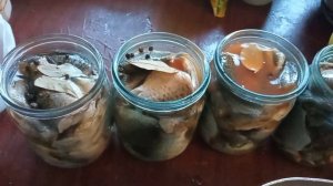 Консерва из речной рыбы в томатном соусе