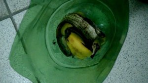 СУПЕР ЛОВУШКА ДЛЯ ТАРАКАНОВ в действии